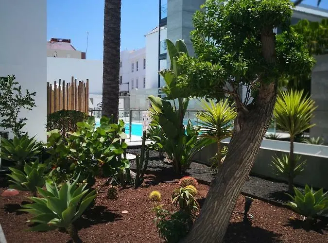 Vista Bristol 50b Apartamento Corralejo