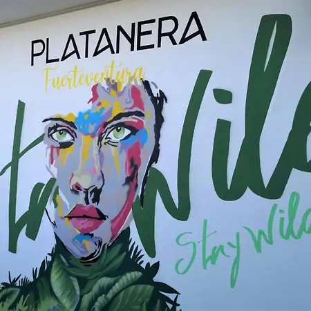 Vista Bristol 50b דירה קורלחו