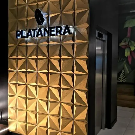 Vista Bristol 50b קורלחו