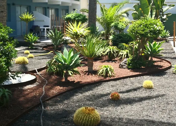 Apartmán Vista Bristol 50b Corralejo