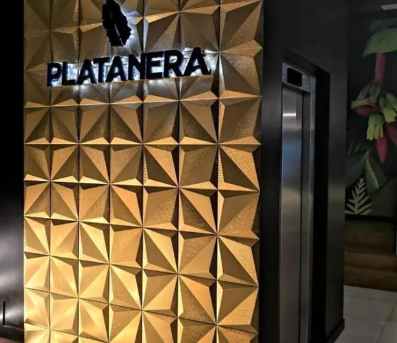 Vista Bristol 50b Corralejo